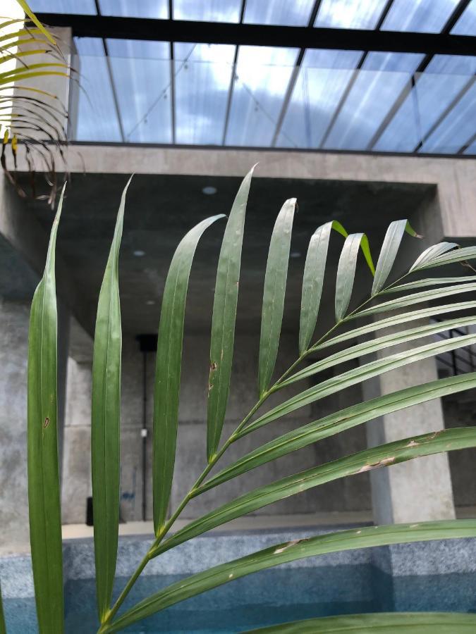 ميريدا Hotel Suites La Negra Boutique المظهر الخارجي الصورة