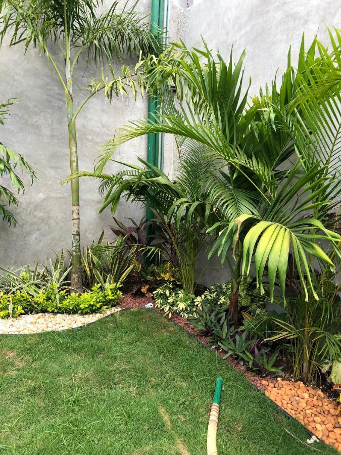ميريدا Hotel Suites La Negra Boutique المظهر الخارجي الصورة